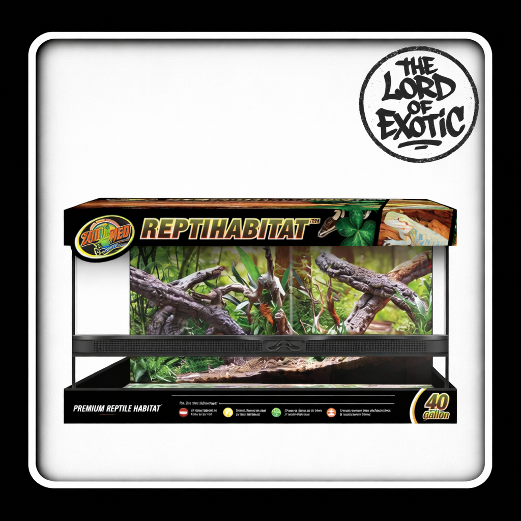 TERRARIUM ZOOMED EN VITRE